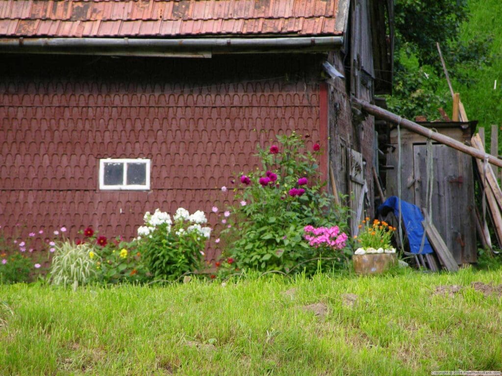 mirstamā diena